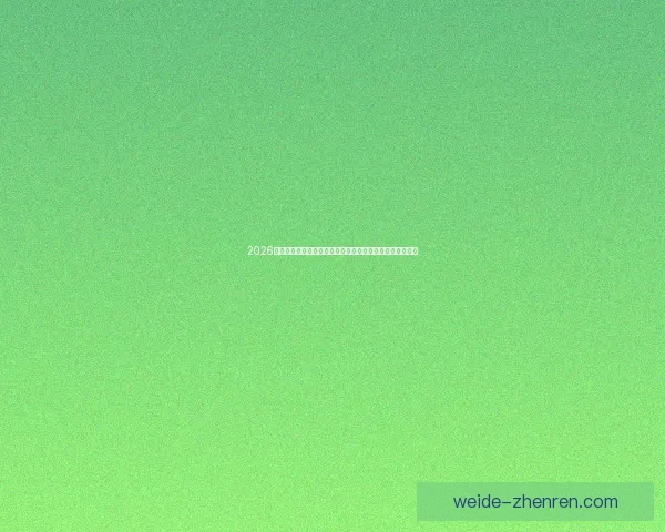 2026年国王联赛收入揭秘：虽未暴富但每位参与者都能安稳获利